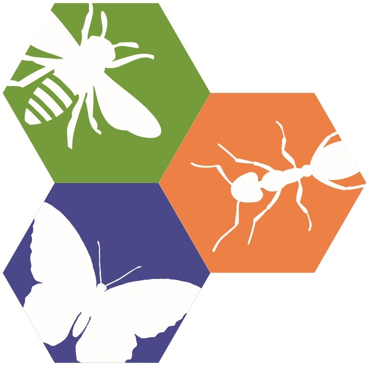 IBP logo.jpg
